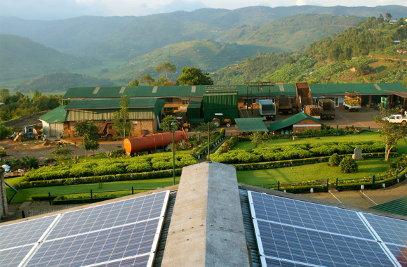 混合能源解决方案:卢旺达茶厂