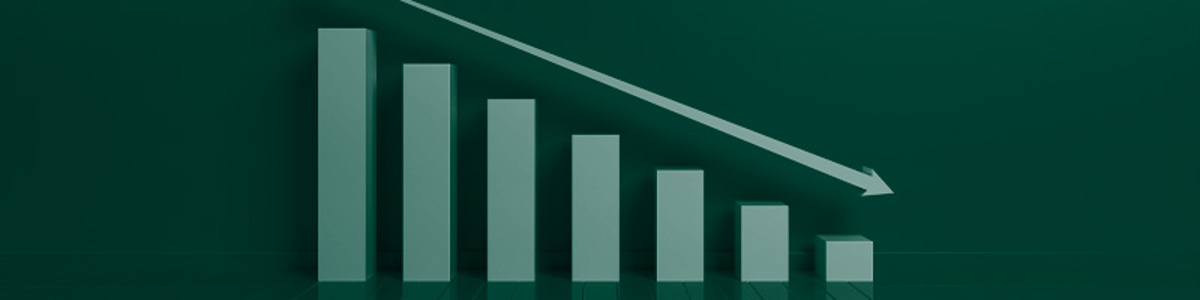 Divider Banner Punkt 4 800X200px 1