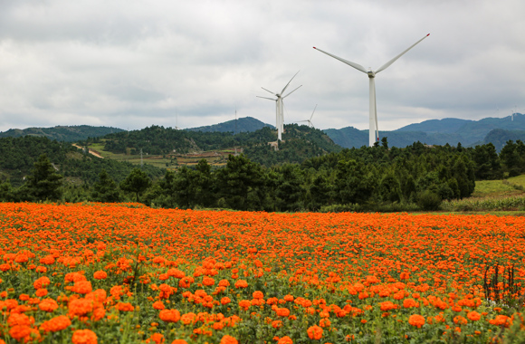 Retrofit 100 MW for Yangmeishan wind park