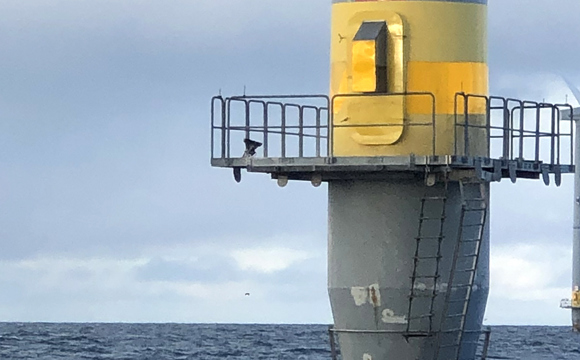 V47 Offshore (1)