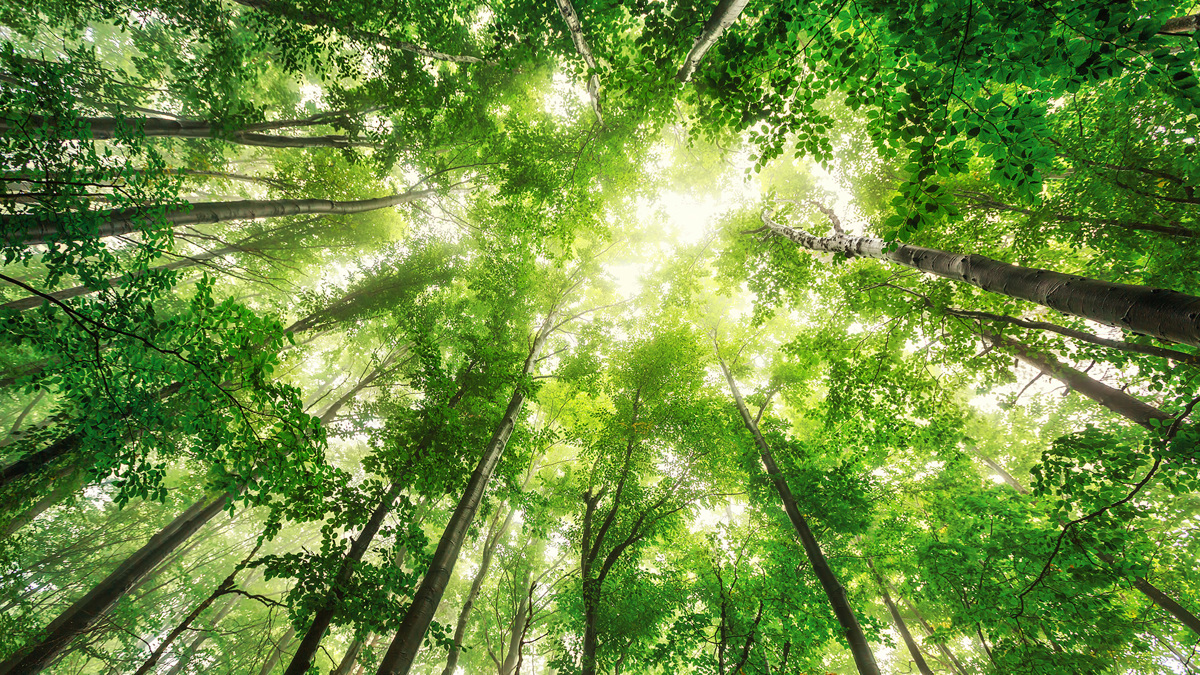 Sustainability