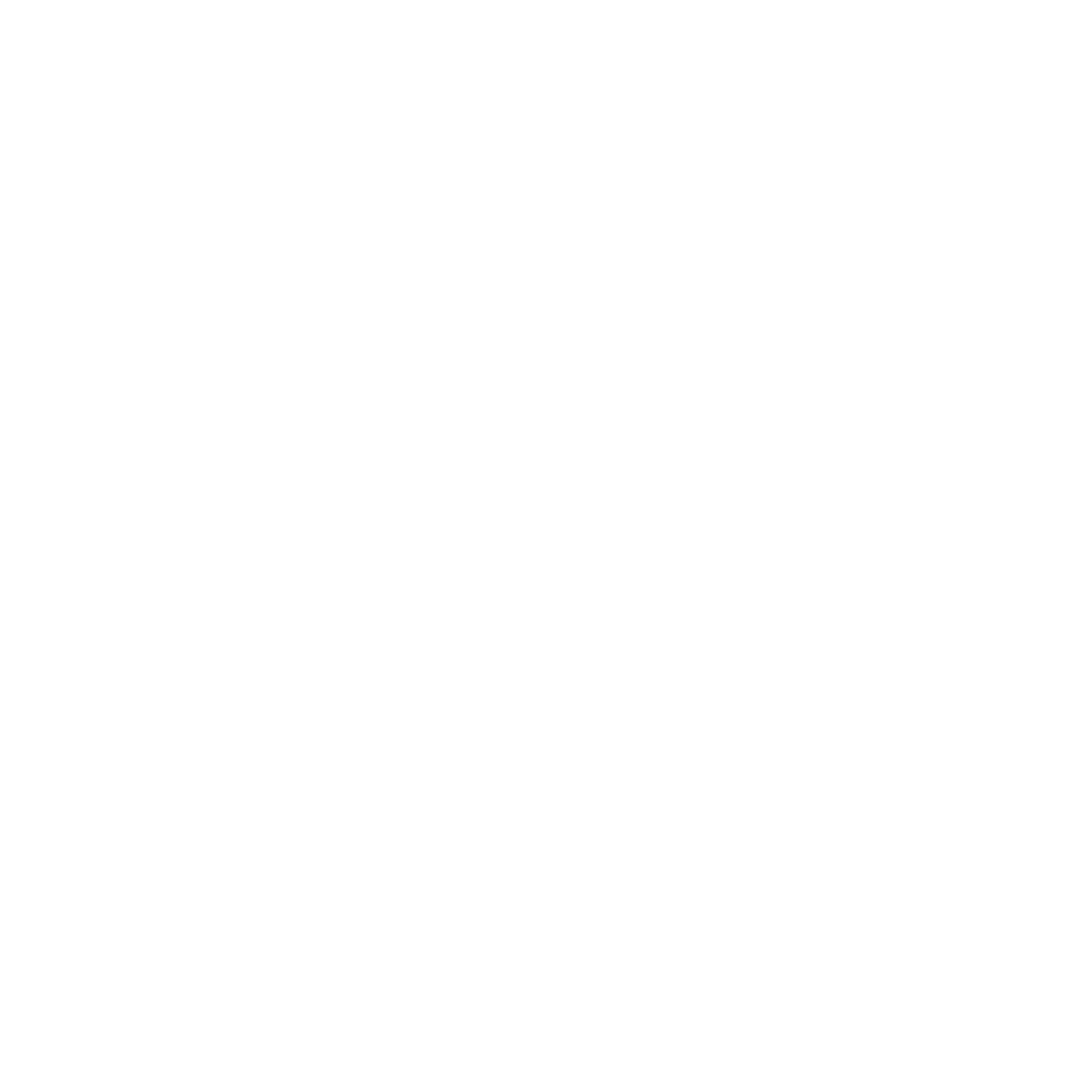 document icon